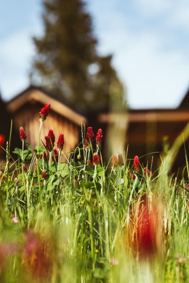 Hideaway Hotel Montestyria Chalets & Suiten Mariazell Exteriör bild